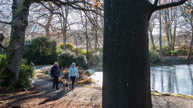 Walkers by the lake at Llanerchaeron, Ceredigion
